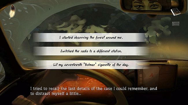 Reflections in Amber