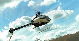 RealFlight Evolution - Blade InFusion 210