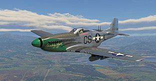 War Thunder - Ray Wetmore`s P-51D-10 Pack