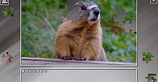 Super Jigsaw Puzzle: Generations - Rodents