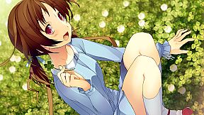 Love, Elections, and Chocolate