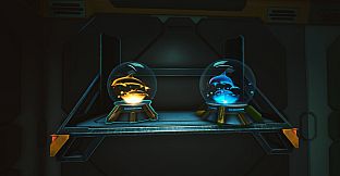 Forever Skies - Whale and Dolphin Conservation Artifact