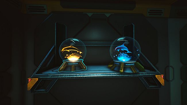 Forever Skies - Whale and Dolphin Conservation Artifact