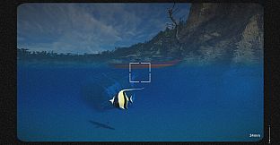Kayak Photography Sim