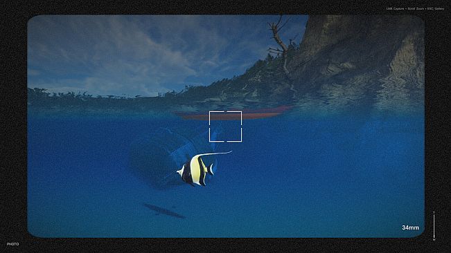 Kayak Photography Sim