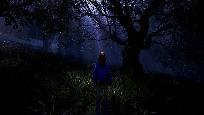 BAN: The Prologue of GUCHA GUCHA