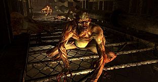 Fallout 3 - The Pitt