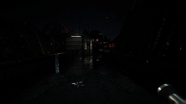 Near Death Experience