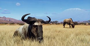 Way of the Hunter - Tikamoon Plains