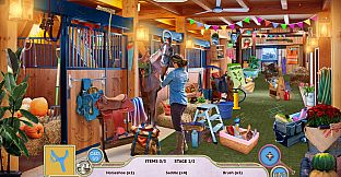 Sweet Home: Look and Find Collector's Edition