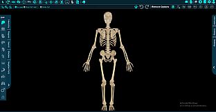 Vesalii Anatomy 3D Student