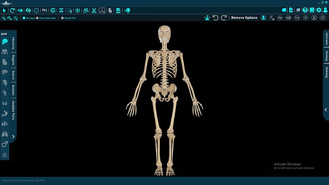 Vesalii Anatomy 3D Student