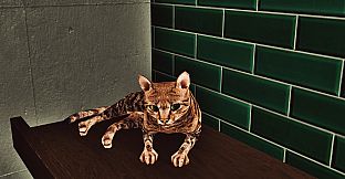 Billiard Cat