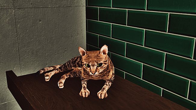 Billiard Cat