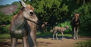 Planet Zoo: Asia Animal Pack