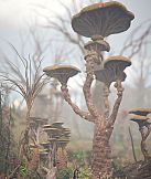 INFEROS NUMINE : descent into darkness