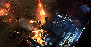 Aliens: Dark Descent (Windows)