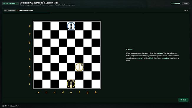 Pocket Pawns