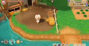 STORY OF SEASONS: Friends of Mineral Town - Chicken Costume