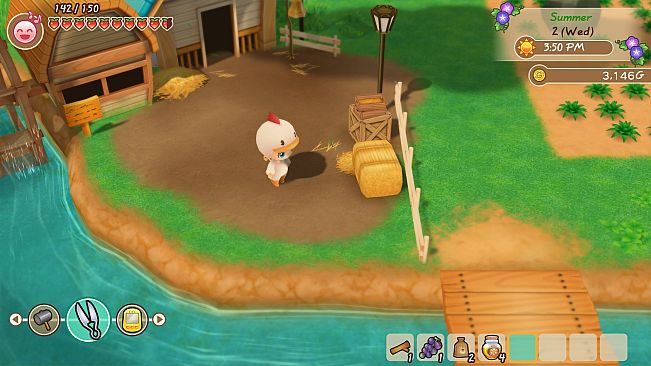 STORY OF SEASONS: Friends of Mineral Town - Chicken Costume