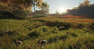 theHunter: Call of the Wild - Free Species: European Rabbit