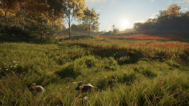 theHunter: Call of the Wild - Free Species: European Rabbit