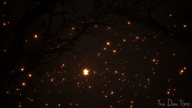 The Dark Tones: Loss