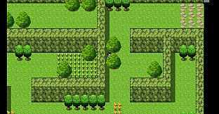 Oak Adventure The Maze