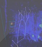 Virtual Reality Neuron Tracer