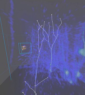 Virtual Reality Neuron Tracer