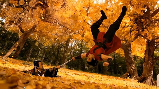 Kung Fu Time Travel