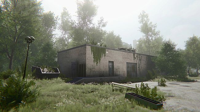 In rays of the Light