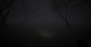 Echoes