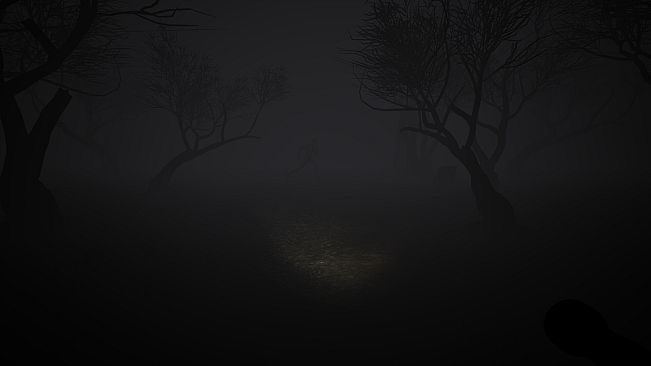 Echoes