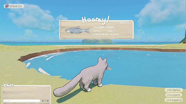 That Cozy Cat Game