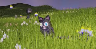 Floppy Cat Adventures