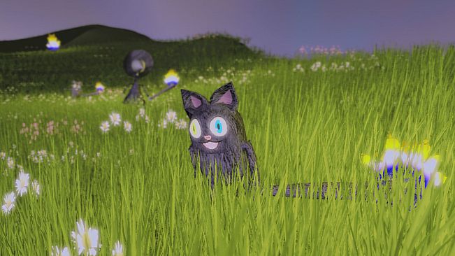 Floppy Cat Adventures