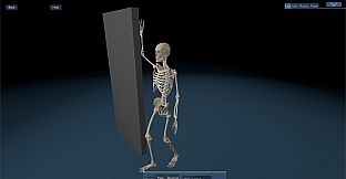 Kinetic Anatomy 3D - Advanced Animation Scenes Package