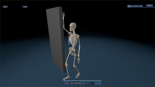 Kinetic Anatomy 3D - Advanced Animation Scenes Package