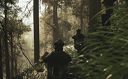 Lushfoil Photography Sim