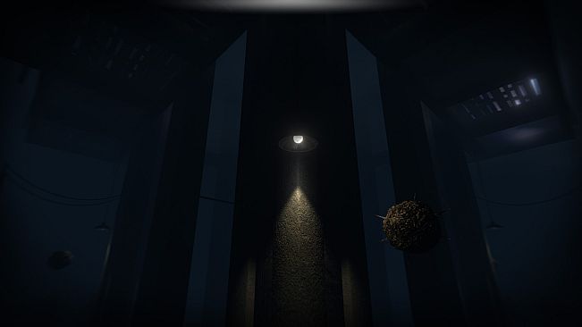 Akui - The Insane Cultists