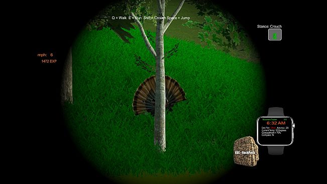 Turkey Hunting - The Season