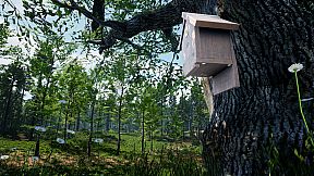 Tales From The Cache