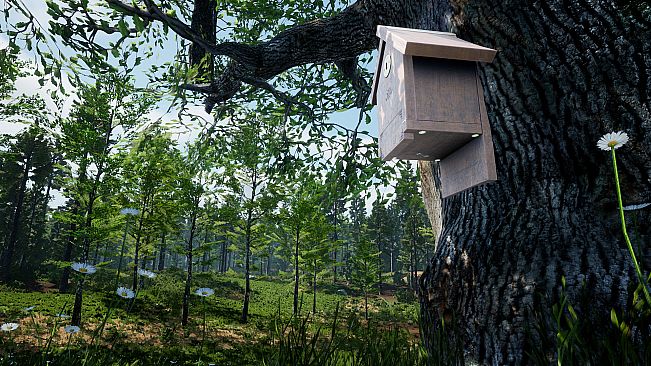 Tales From The Cache