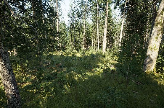 Demise: Survival Uncharted