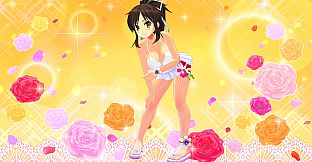 SENRAN KAGURA Burst Re:Newal - Trial Costume Set Vol. 4