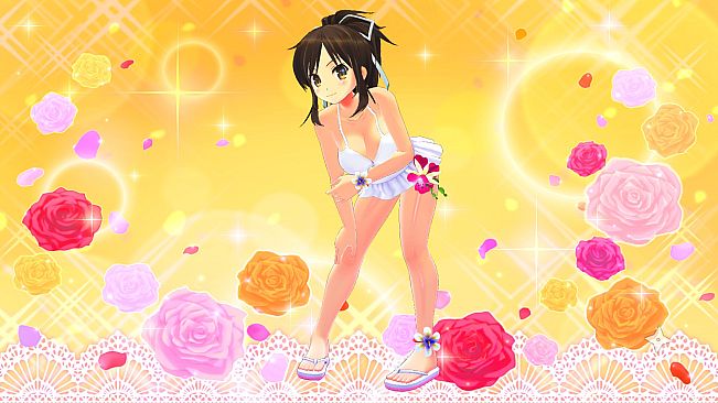 SENRAN KAGURA Burst Re:Newal - Trial Costume Set Vol. 4