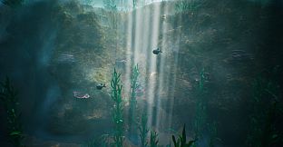 Tidepool