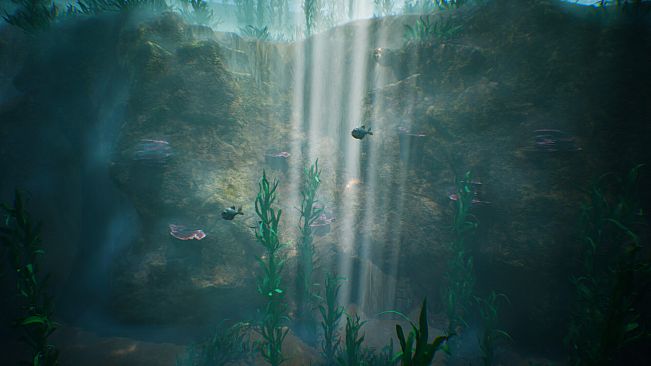 Tidepool