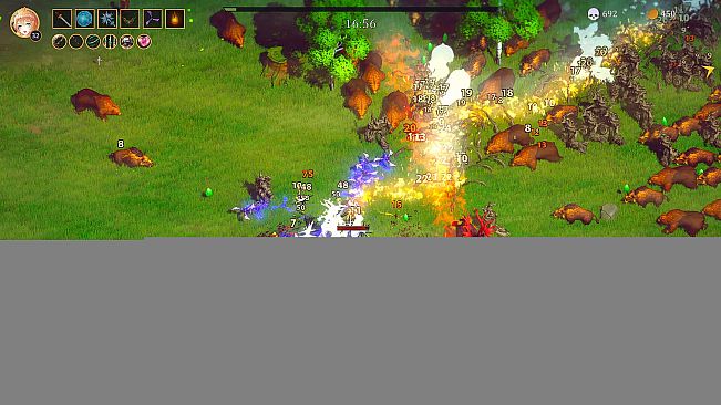 Beautiful Mystic Survivors